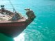 Казачья  морская культура: судно, которое использовали казаки
